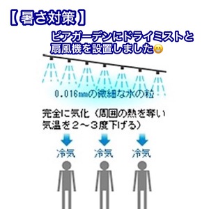 【 暑さ対策 】ビアガーデンにドライミストと扇風機を設置しました。《沖縄オリオンビールビアガーデン四日市》