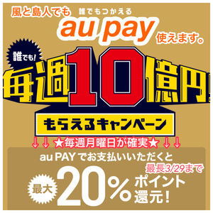 au PAY使えます。キャンペーン中に使えばお得！！